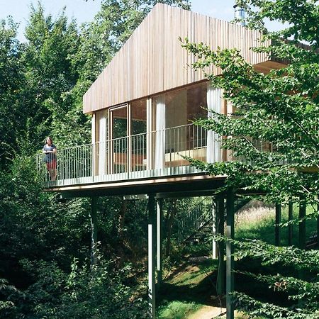 Baumhaus Buchengruen Διαμέρισμα Dobl-Zwaring Εξωτερικό φωτογραφία