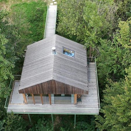 Baumhaus Buchengruen Διαμέρισμα Dobl-Zwaring Εξωτερικό φωτογραφία