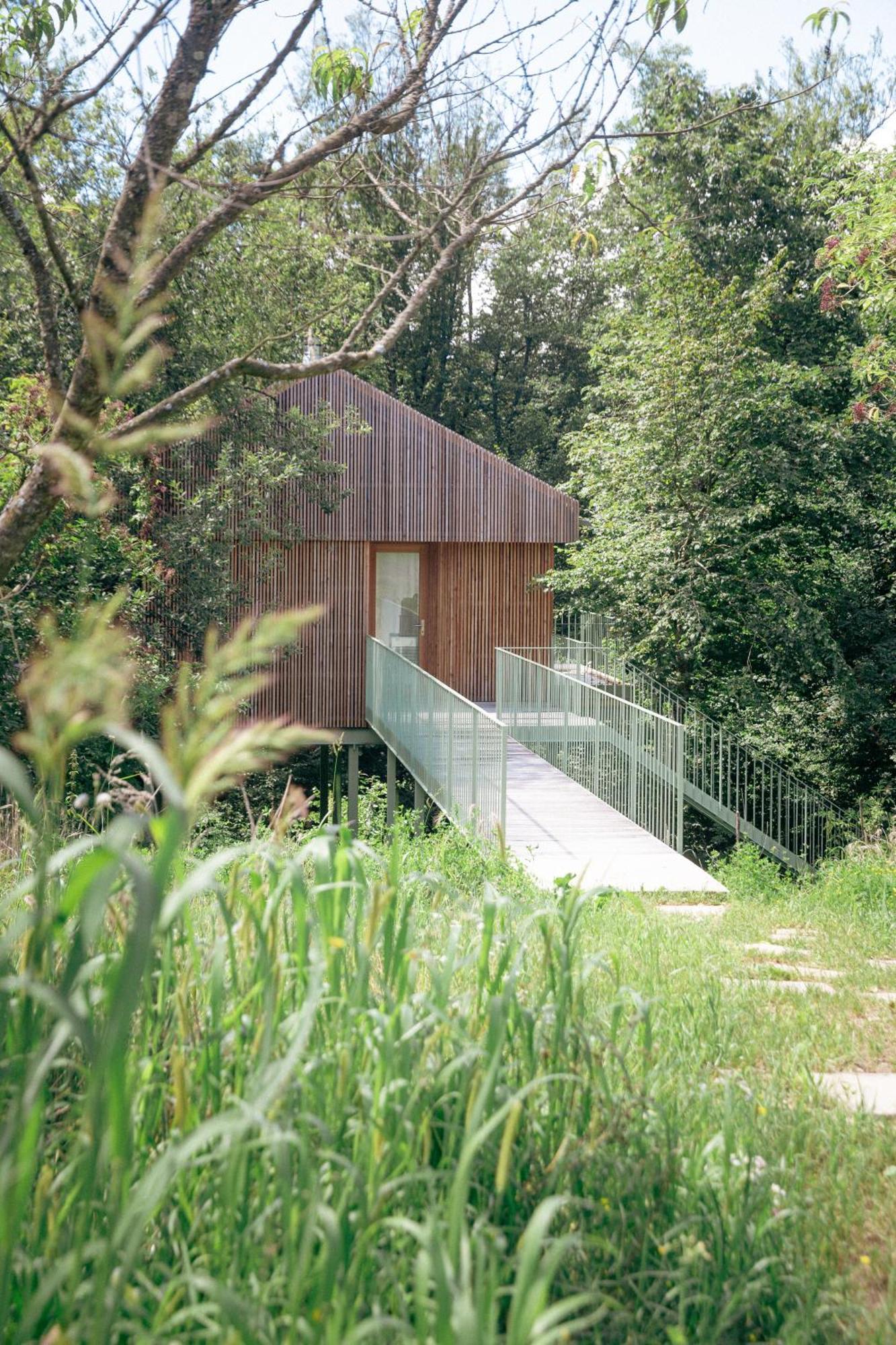 Baumhaus Buchengruen Διαμέρισμα Dobl-Zwaring Εξωτερικό φωτογραφία